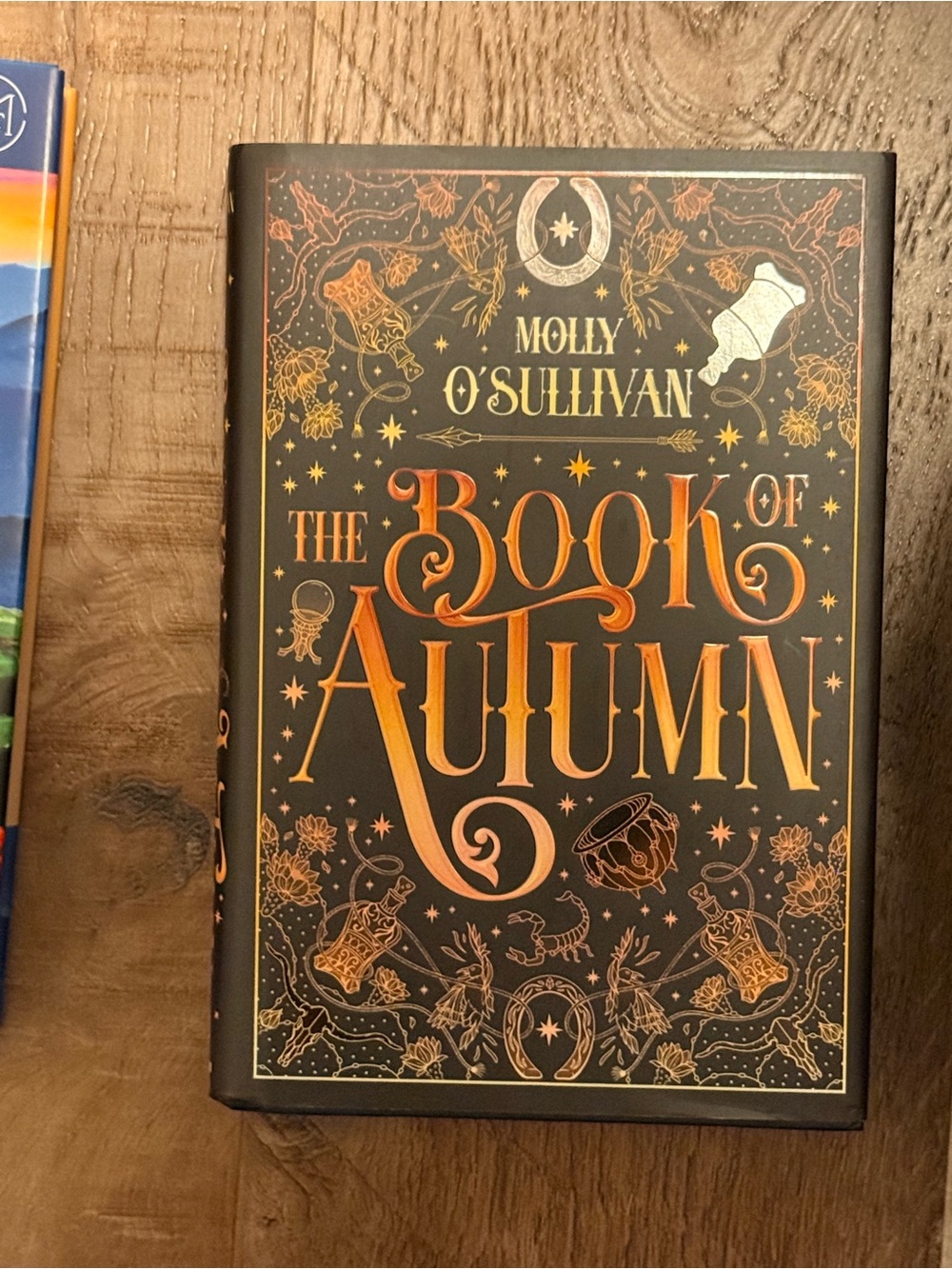 The Book of Autumn - Molly O'Sullivan